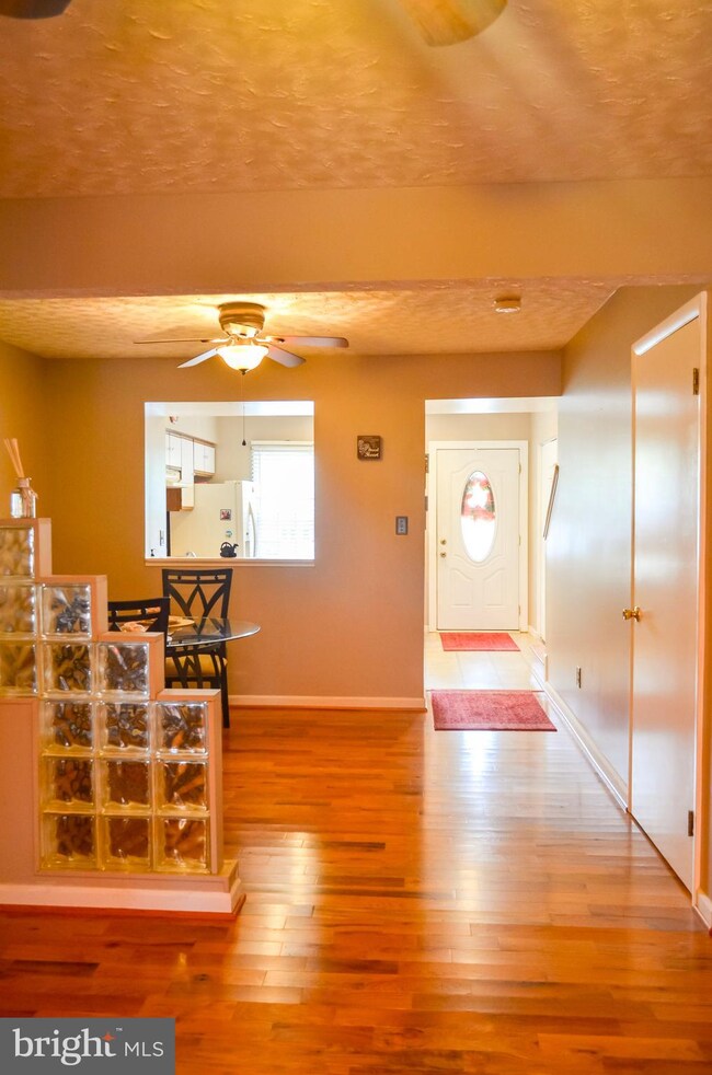 63 Cobber Ln, Baltimore, MD 21229 - photo 6