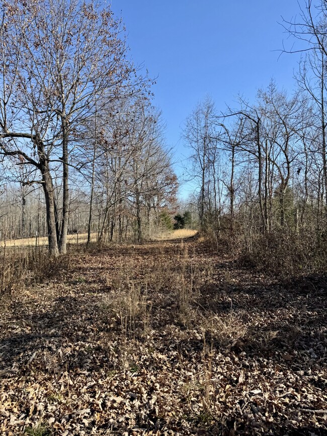 0 Lewisburg Hwy unit RTC3033027, Pulaski, TN 38478 - photo 7