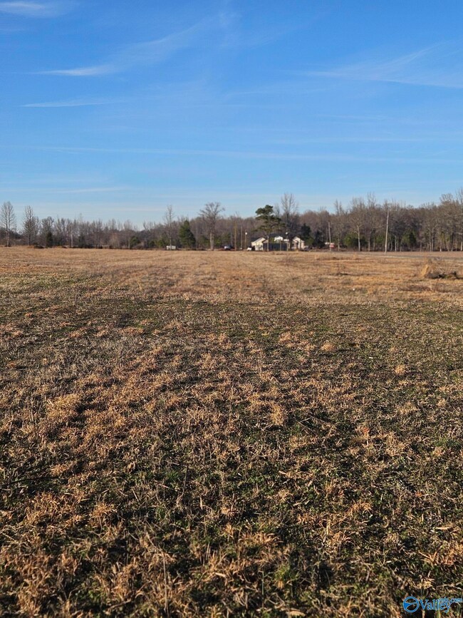 Lot 3 Scott Rd, Hazel Green, AL 35750 - photo 6