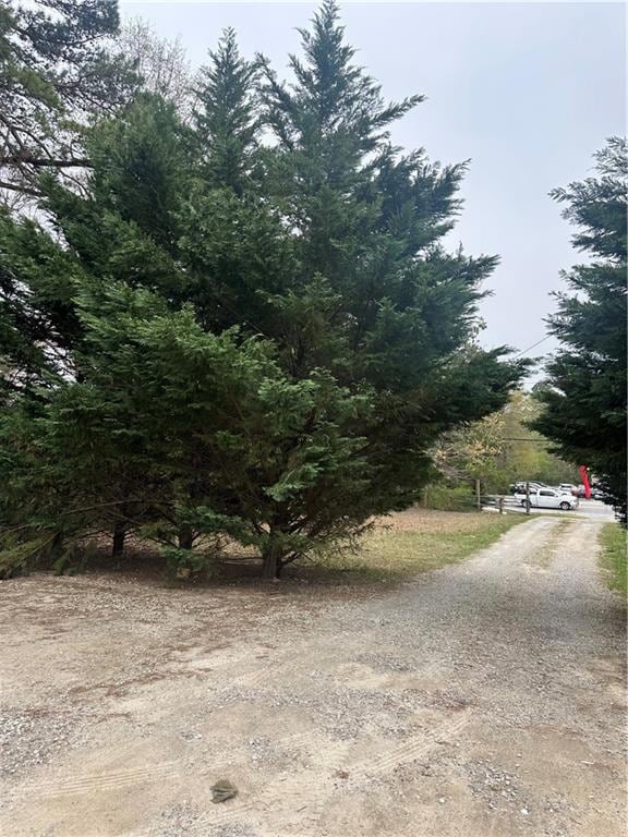 View of drive