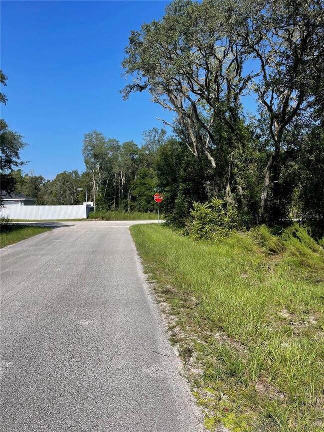 00 SW Green Bay Dr unit Lot 21, Dunnellon, FL 34431 - photo 4
