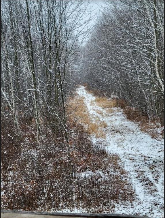 9996 N Chippewa Rd, Coleman, MI 48618 - photo 4