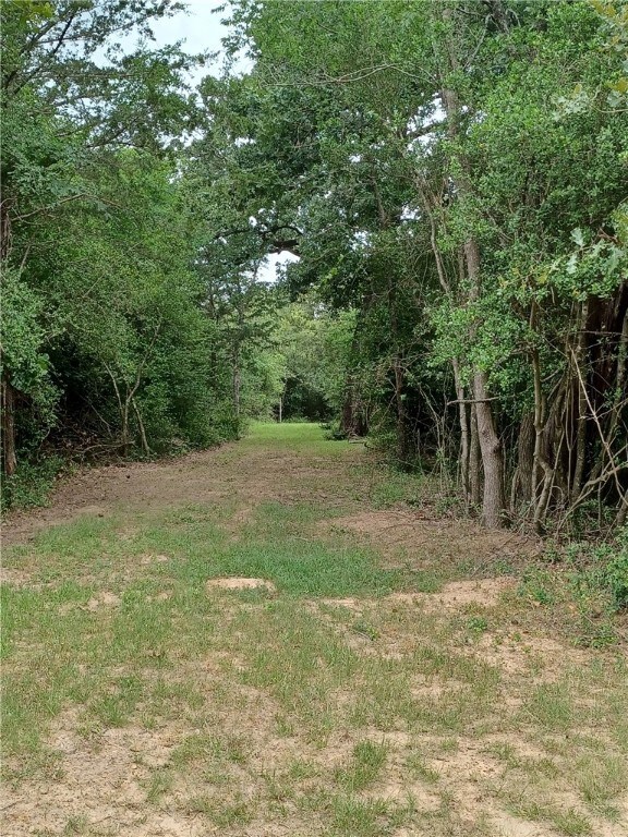 View of yard featuring a view of trees