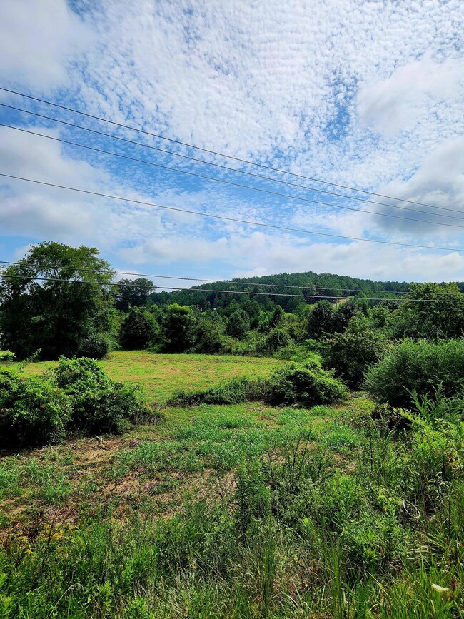 2280 S Highway S 27, Lafayette, GA 30728 - photo 6