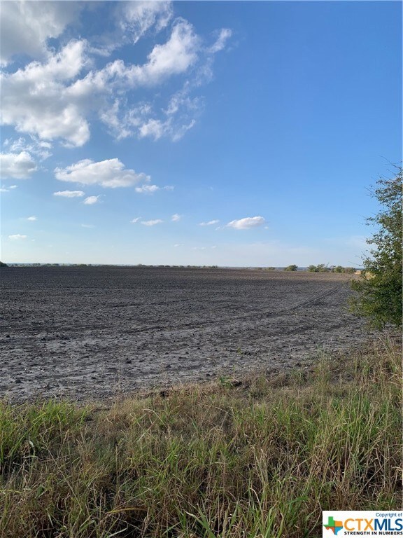 tbd Theo Loop, Troy, TX 76579 - photo 3