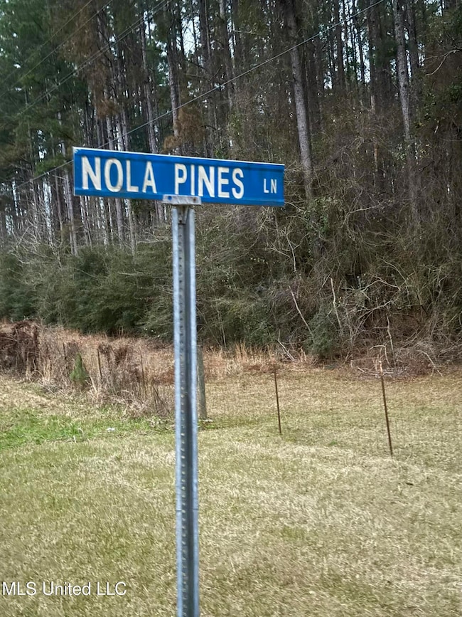 3181 Centerville Rd, Magnolia, MS 39652 - photo 5