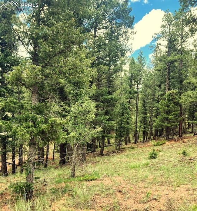 179 Kenosha Way, Florissant, CO 80816 - photo 5