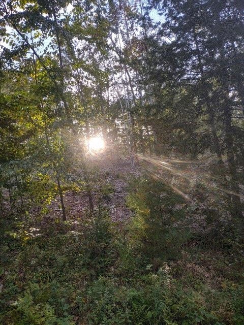 90 Places Crossing Rd, Farmington, NH 03835 - photo 4