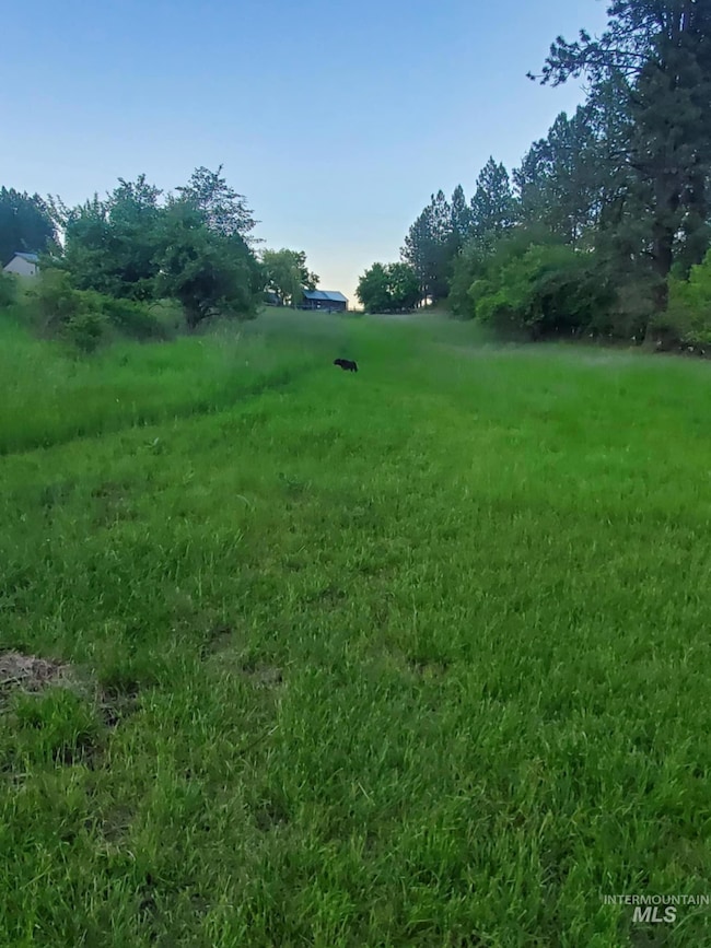 TBD Harmony Heights Loop, Orofino, ID 83544 - photo 5