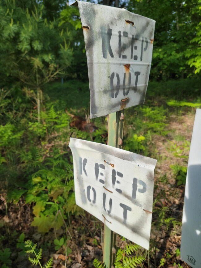 Wooded lot on Bear Creek