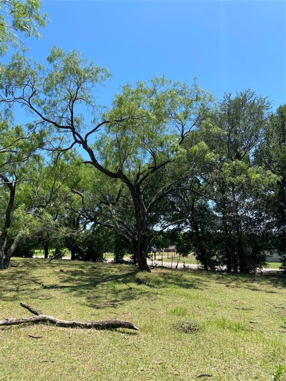 Lot 4 TBD Gin Rd, Ennis, TX 75119 - photo 4