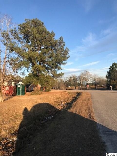100 Hampton Ridge Rd unit Lot 1, Conway, SC 29527 - photo 6