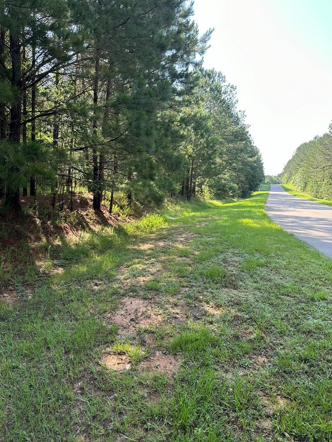 1108 Sunset Cove, Tignall, GA 30668 - photo 5