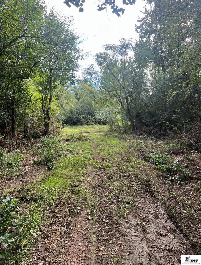 0 Old Snipe Rd, Ruston, LA 71270 - photo 4