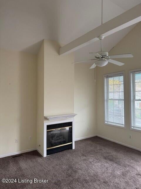 Living Room Fire Place