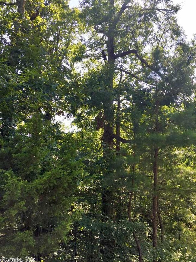 0 Gr 125 Rd unit 17021996, Paragould, AR 72450 - photo 6