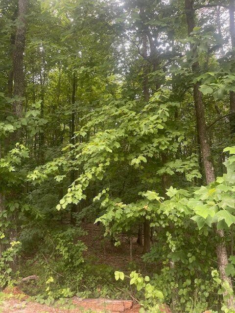 0 Butner Rd SW unit 7397698, Atlanta, GA 30331 - photo 4