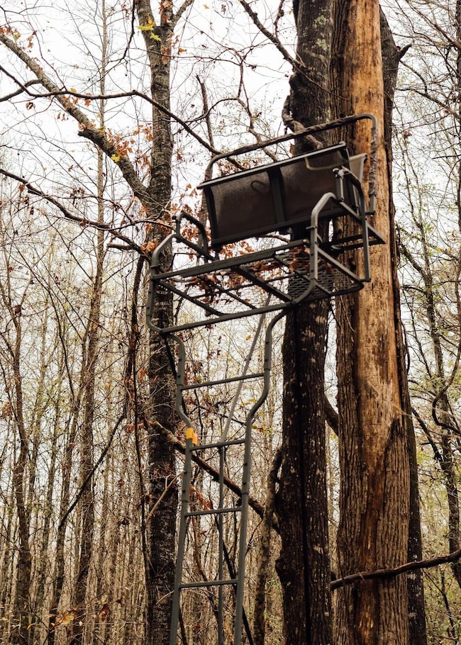 Black Jack Rd, Benton, MS 39039 - photo 7