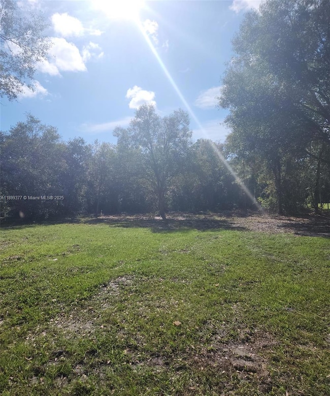 13012 NE 14th Ave, Okeechobee, FL 34972 - photo 4