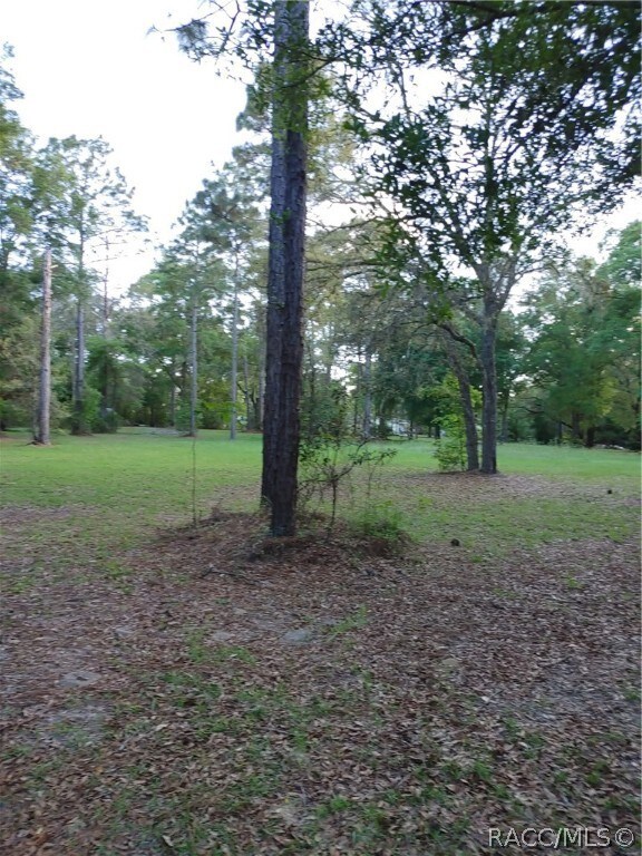 94 E Pilar, Hernando, FL 34442 - photo 4