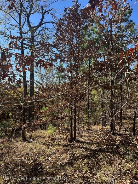 TBD S Booth Ave, Wister, OK 74966 - photo 2