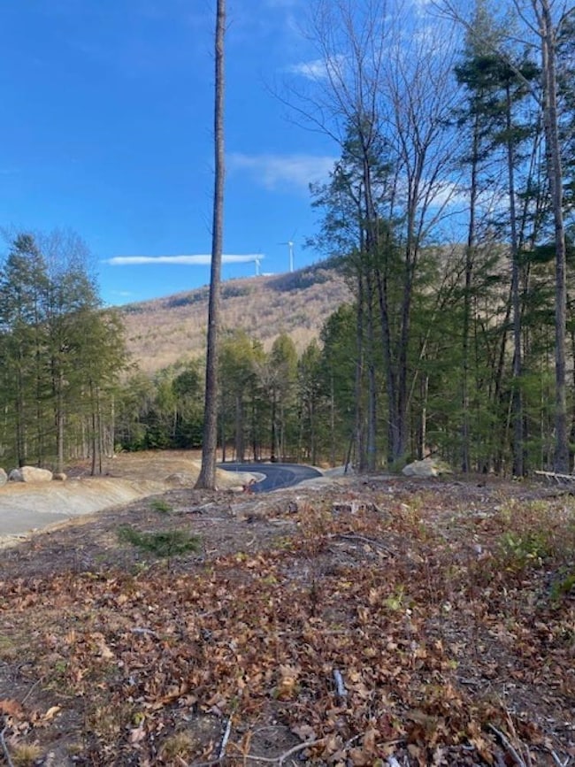 15-12-10-13 Jacob Hall Farm Rd, Rumney, NH 03266 - photo 4