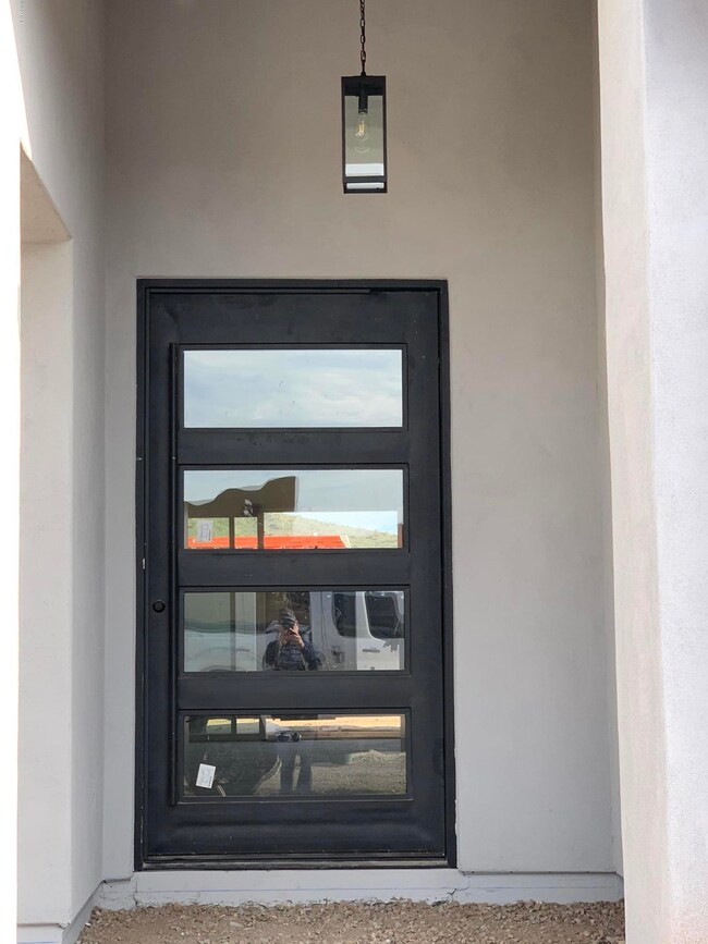 Custom Pivot Front Door