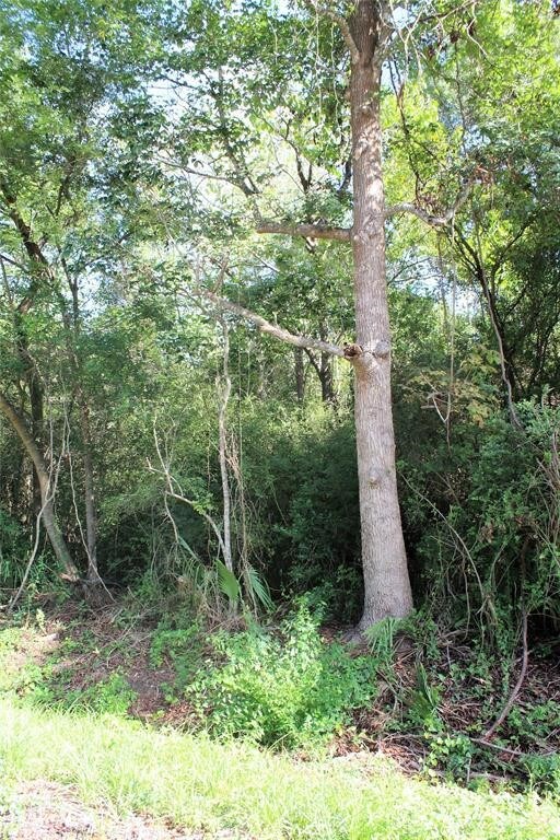 00 River Dr, Conroe, TX 77385 - photo 4