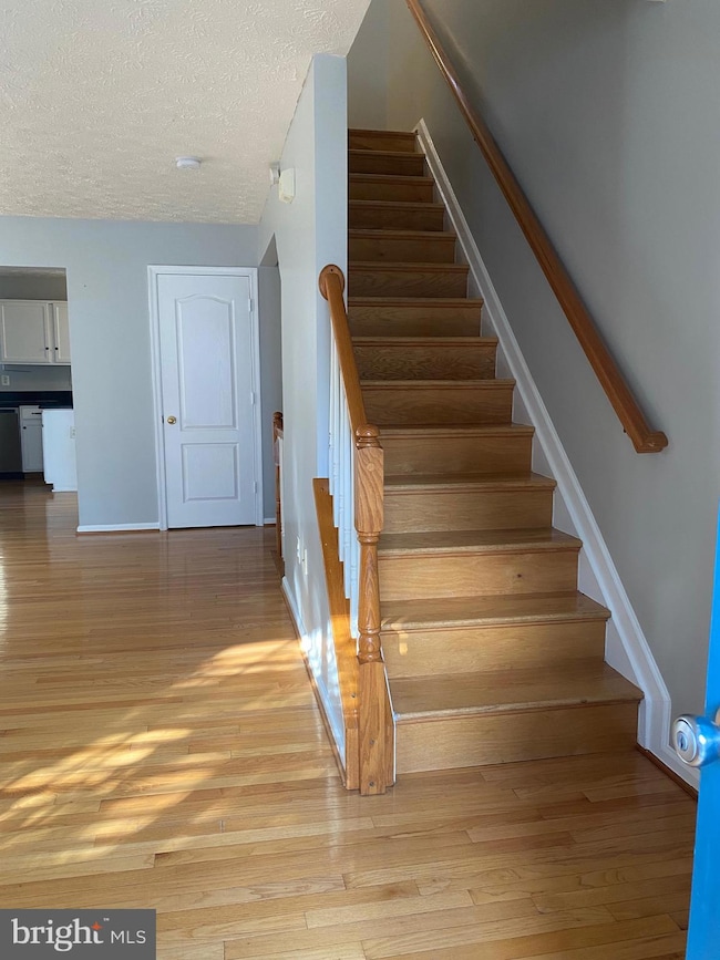 3282 Halcyon Ct, Ellicott City, MD 21043 - photo 3