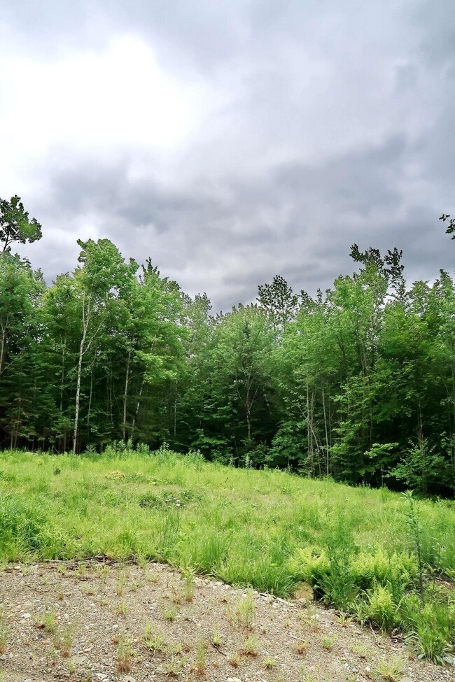 0 Beech Hill Rd unit 4916539, Bethlehem, NH 03574 - photo 7