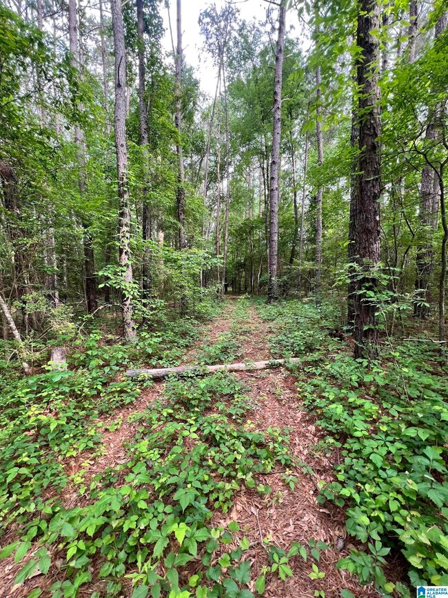 0 Cedar Shores Dr unit 21419292, Sylacauga, AL 35151 - photo 5