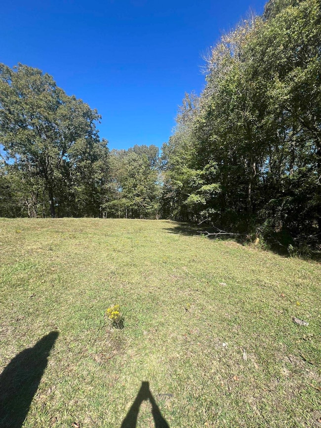 0 Walls Rd, Somerville, TN 38068 - photo 4