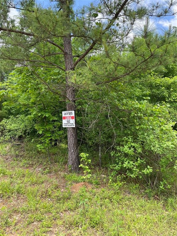 695 Timber Creek Trails South XI, Broken Bow, OK 74728 - photo 3