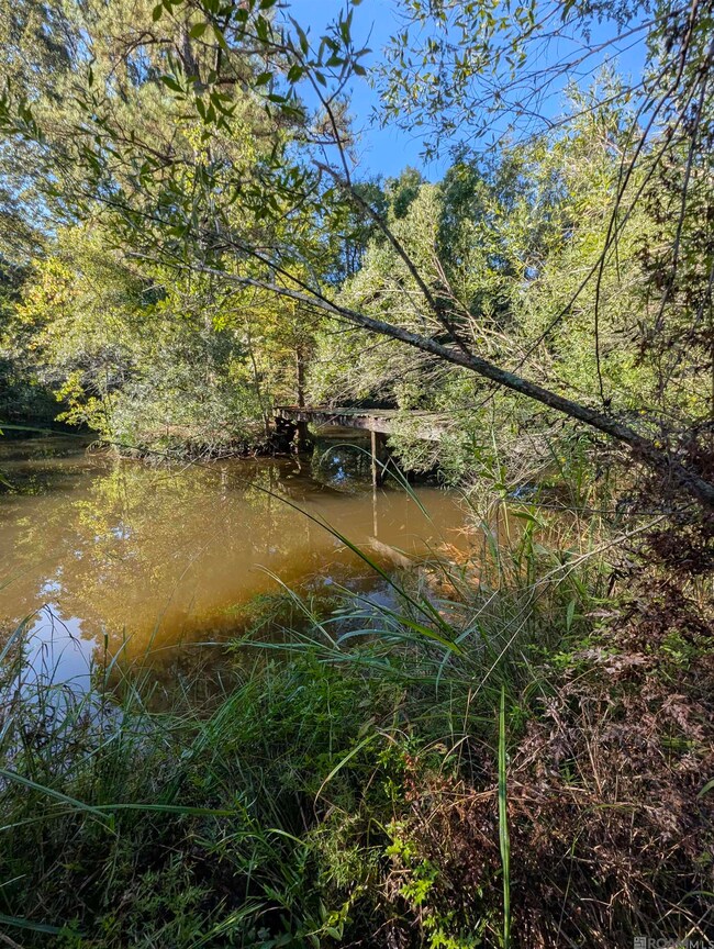 23154 Joe May Rd, Denham Springs, LA 70726 - photo 7