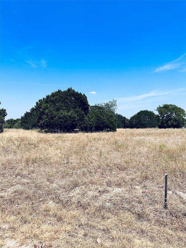 19014 Bluebonnet Dr, Whitney, TX 76692 - photo 3