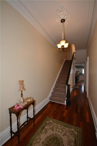 1003 Sheffield St, Pittsburgh, PA 15233 - photo 3