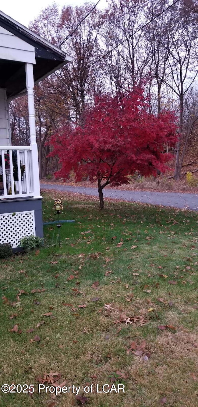 98 Marlborough Ave, Wilkes-Barre, PA 18702 - photo 5