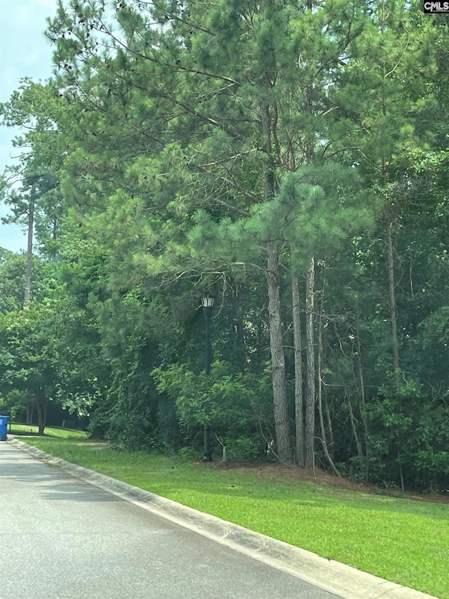 200 Deer Crossing Rd, Elgin, SC 29045 - photo 4