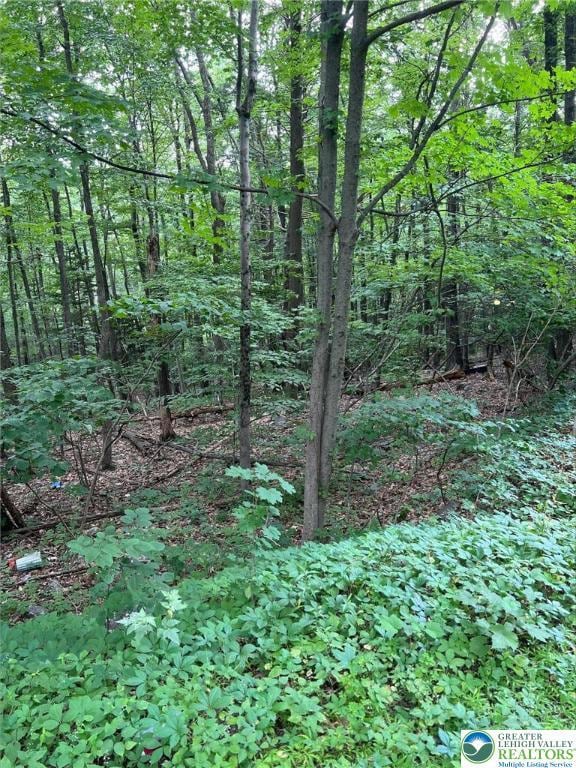 0 Faber Cir unit 40,41,42,43 759242, Tannersville, PA 18372 - photo 2
