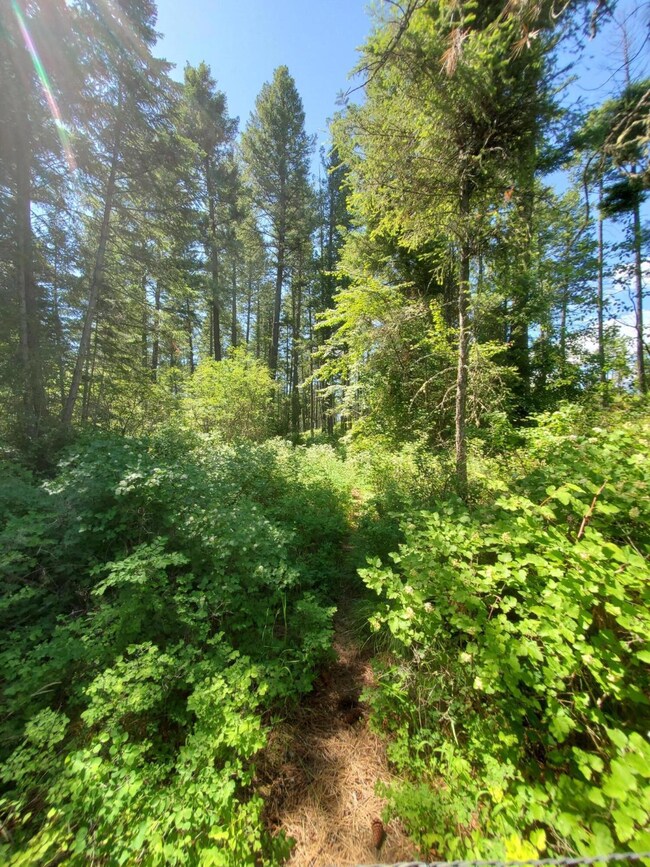 307 Whisper Ridge Dr, Big Fork, MT 59911 - photo 7