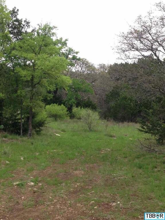 0 Kuykendall Mountain Rd unit 9112864, Temple, TX 76502 - photo 6