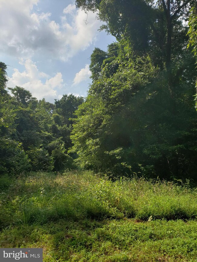 0 River Road Parcel 265, Bryans Road, MD 20616 - photo 3