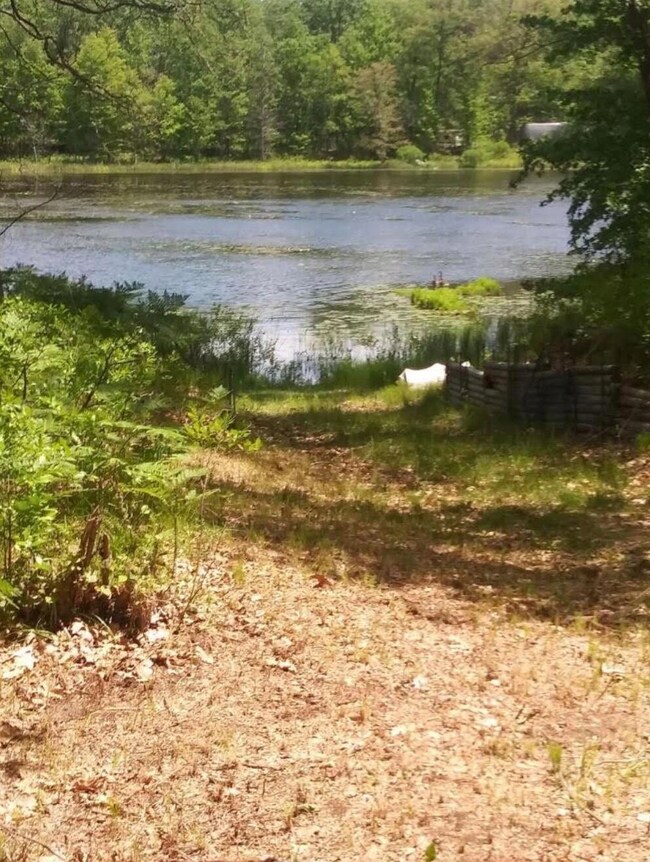 V/L N Beaver Trail, Lilley Township, MI 49309 - photo 4
