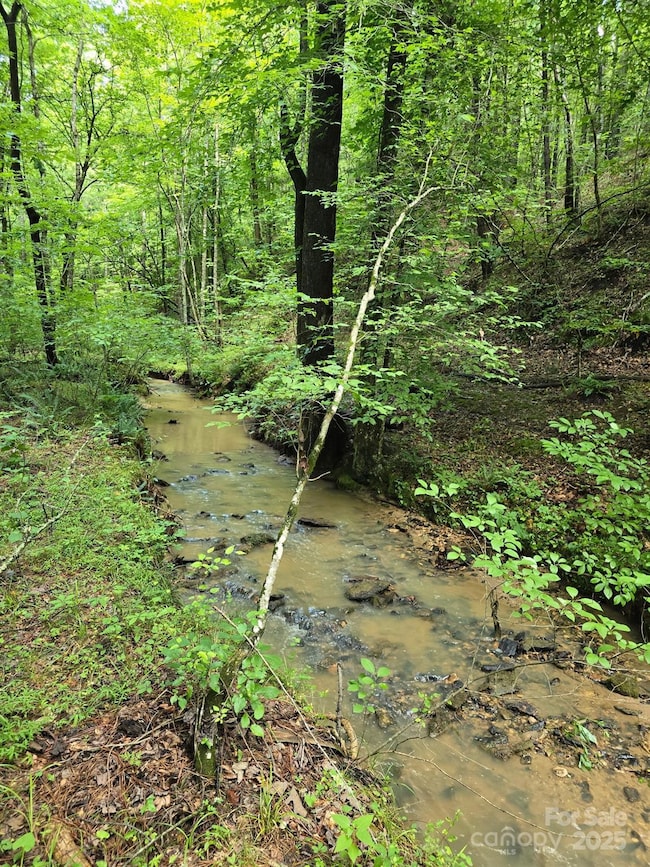 0 Frog Creek Rd unit CAR4326977, Union Mills, NC 28167 - photo 7