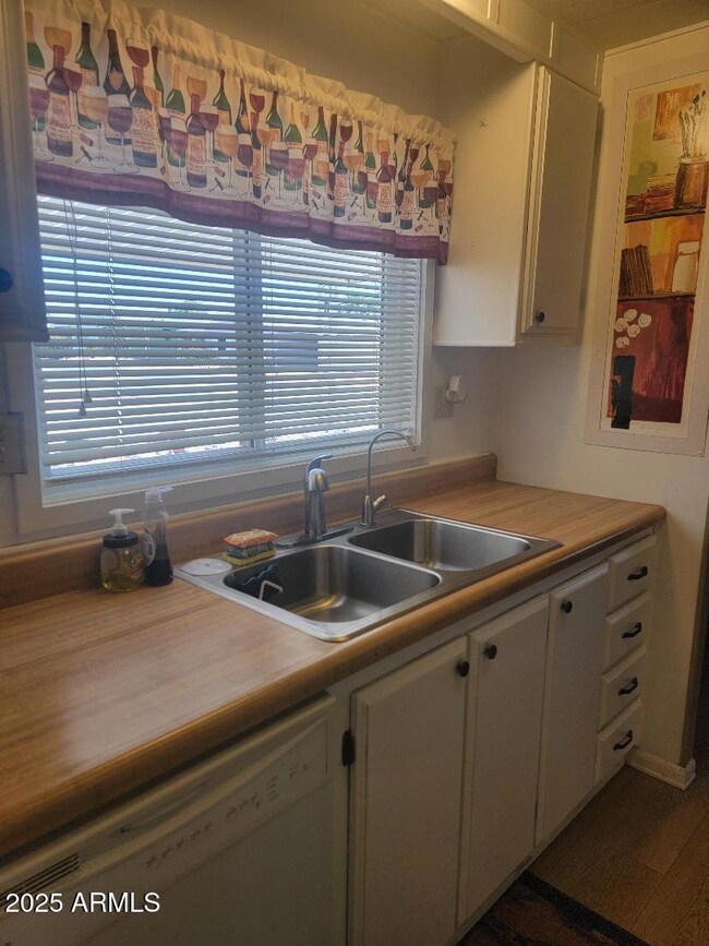 3611 kitchen sink with filtration system