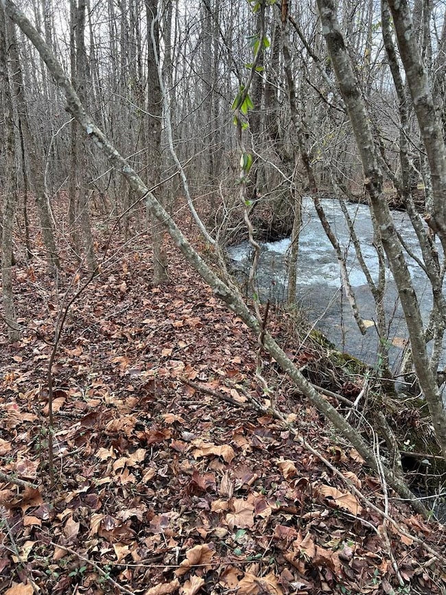 Lots 9 10 11 15 & 17 Mary Ln, Hayesville, NC 28904 - photo 3