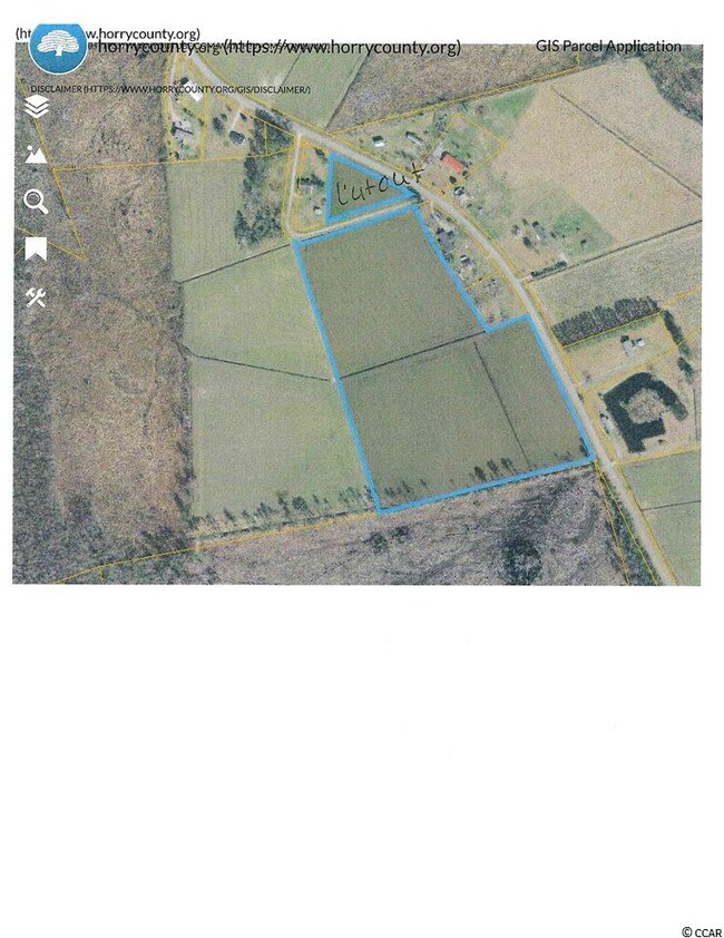 18.03 Acres Fowler Rd, Conway, SC 29526 - photo 4