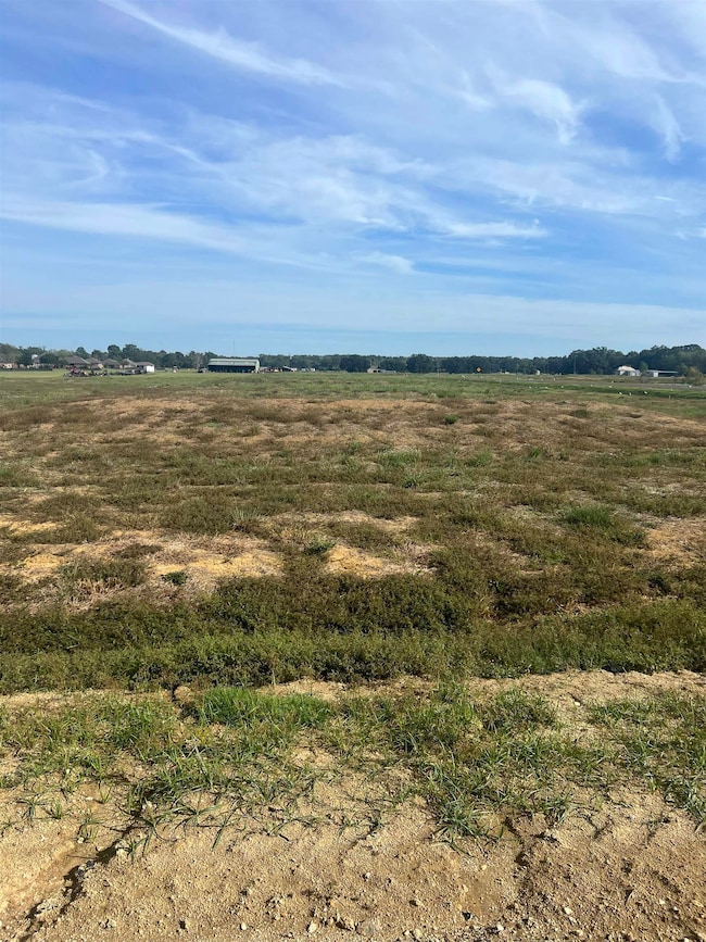 Lot # 23 Buddy Gore Rd, Gonzales, LA 70737 - photo 4