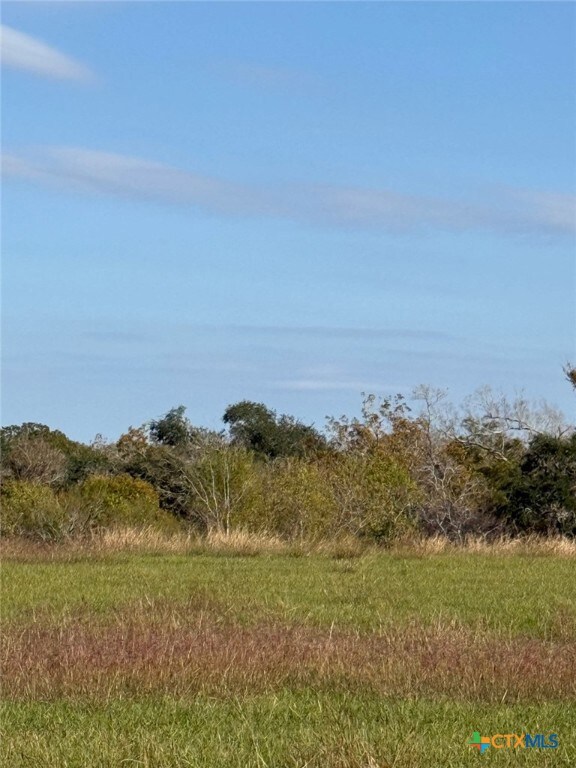 000 River Hollow Way, Blessing, TX 77465 - photo 5