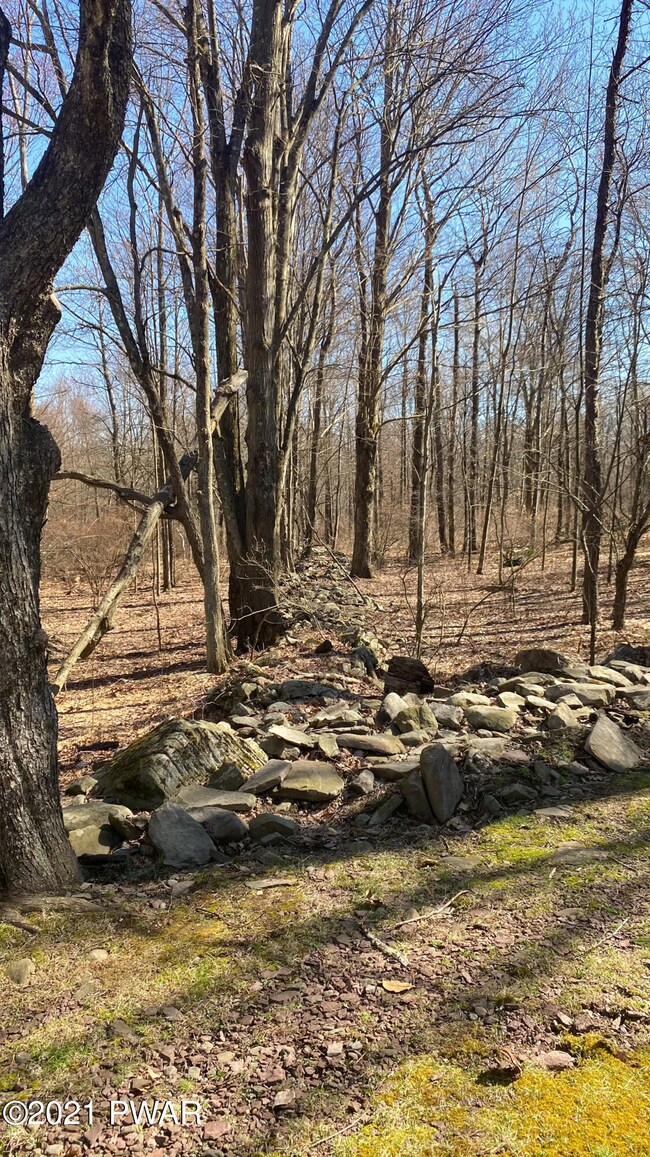 126 Cindy Ln, Paupack Township, PA 18428 - photo 4